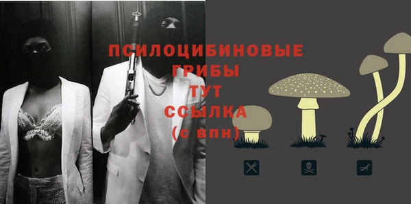 эйфоретик Арсеньев